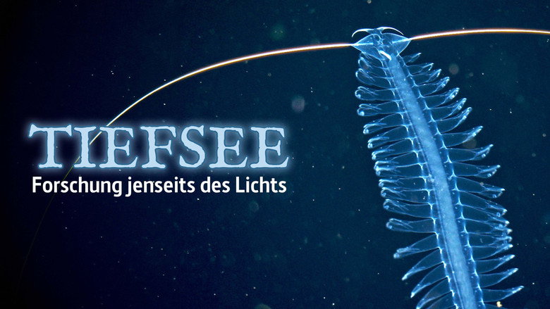 кадр из фильма Abysses, la face cachée des océans