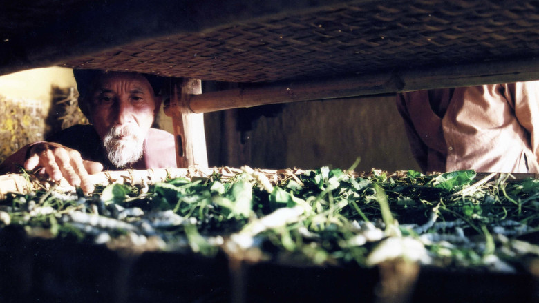 кадр из фильма Mê Thảo - thời vang bóng