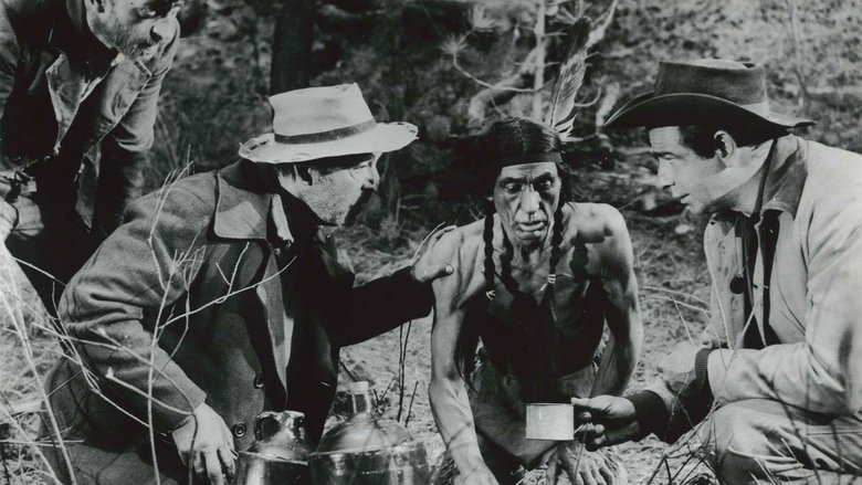 кадр из фильма По кривой дорожке