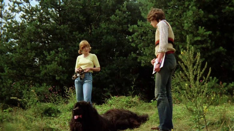 кадр из фильма Sieben Sommersprossen