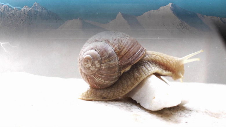 кадр из фильма Gonzo