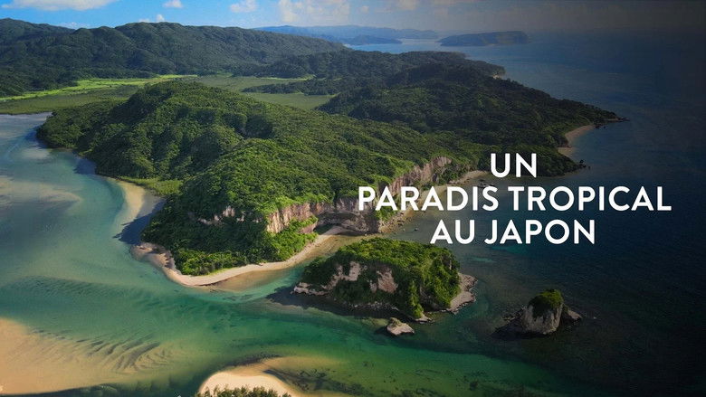 L'île Iriomote - Un paradis tropical au Japon