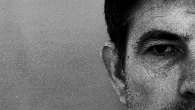 кадр из фильма Wild Will