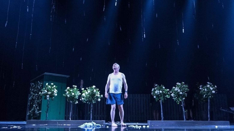 кадр из фильма Things I Know to Be True