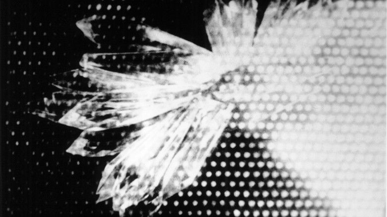 кадр из фильма Cinq minutes de cinéma pur