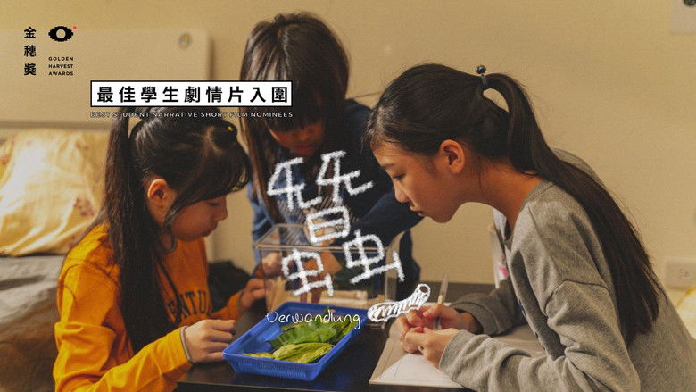 кадр из фильма 蠶