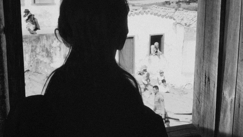 кадр из фильма Ружья