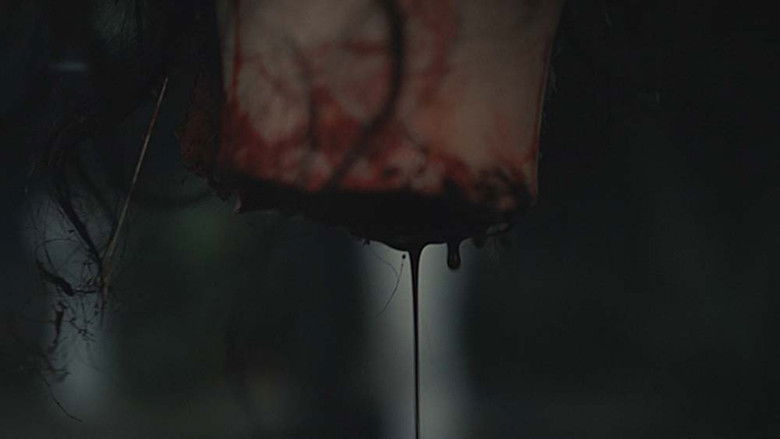 кадр из фильма Cinghia