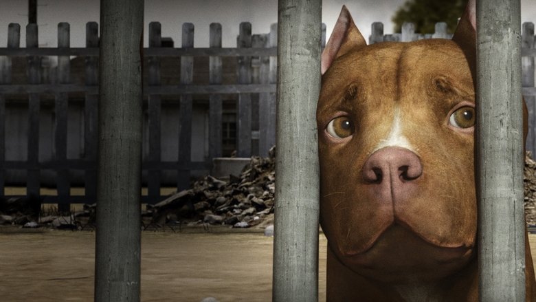 кадр из фильма Chance