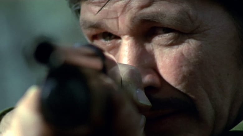 Город насилия