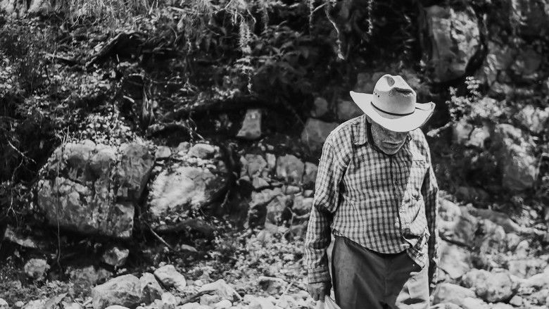 кадр из фильма Allá en el cielo