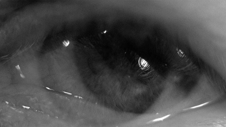 кадр из фильма Земляничная поляна