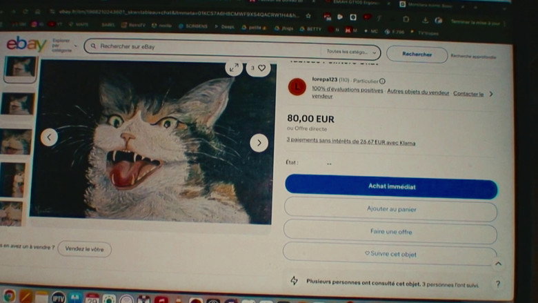 кадр из фильма How To Save A Cat?