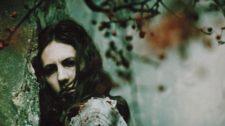 кадр из фильма Лесная песня. Мавка