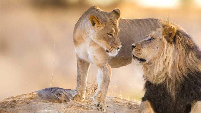 кадр из фильма Львиная династия