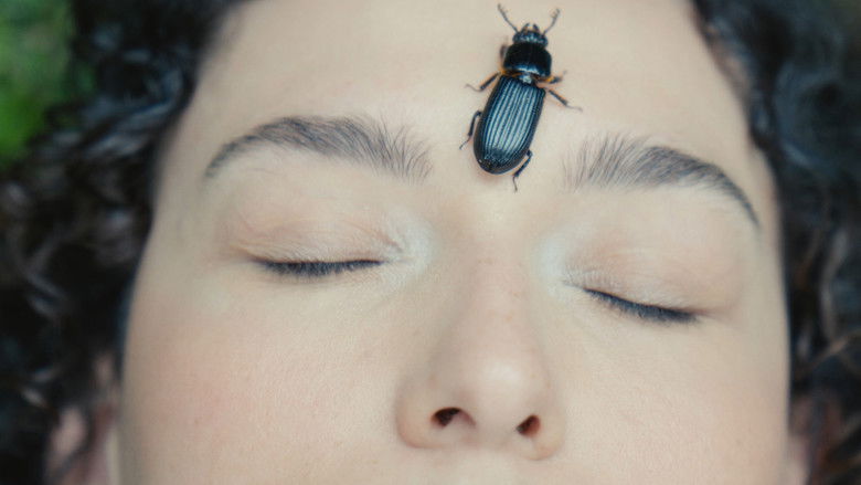 кадр из фильма Meu Lugar