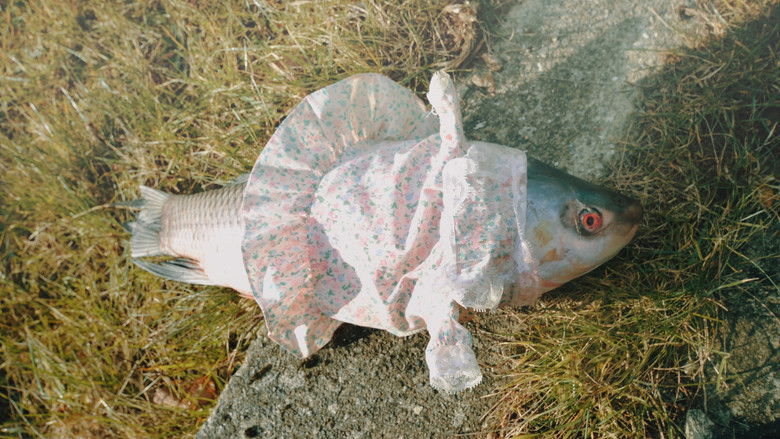 кадр из фильма Hasselager Hunchback