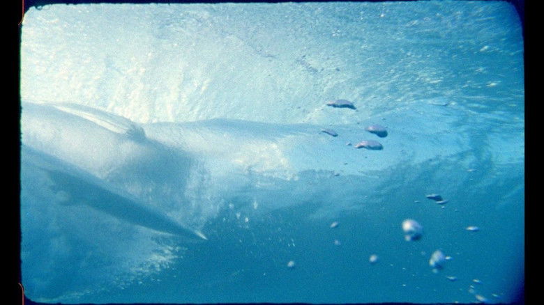 кадр из фильма Hangs Upon Nothing