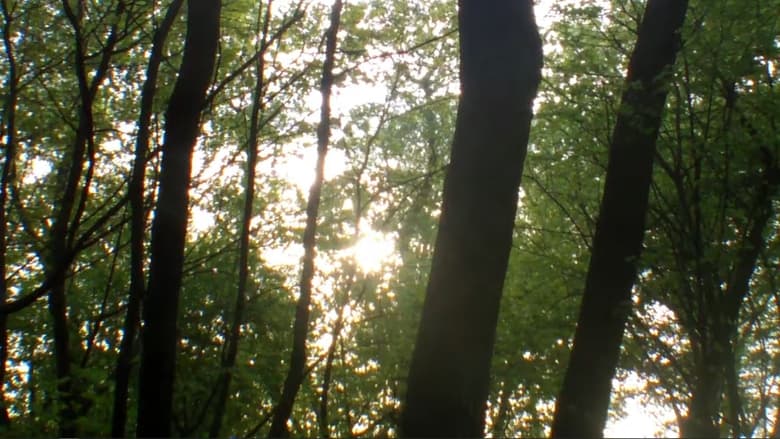 кадр из фильма Влюбленный Нил 2