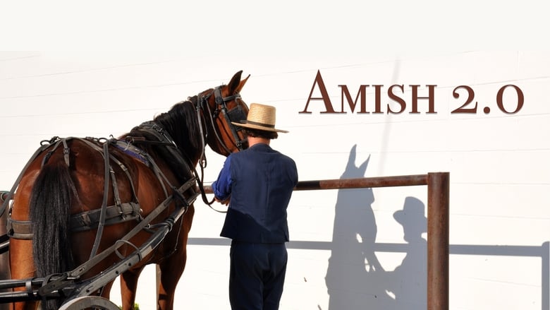 кадр из фильма Amish 2.0