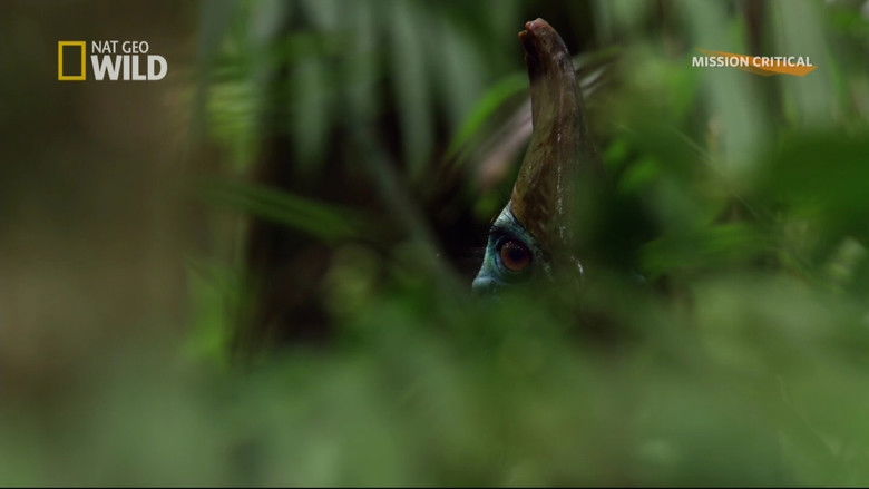 кадр из фильма Птица-динозавр