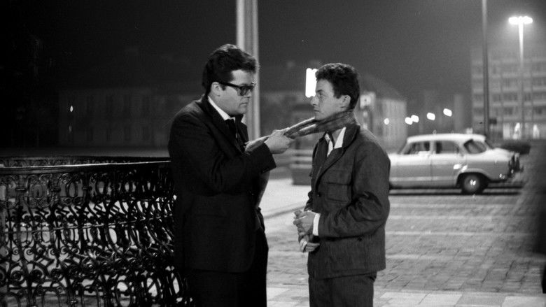 кадр из фильма Влюблённый пингвин