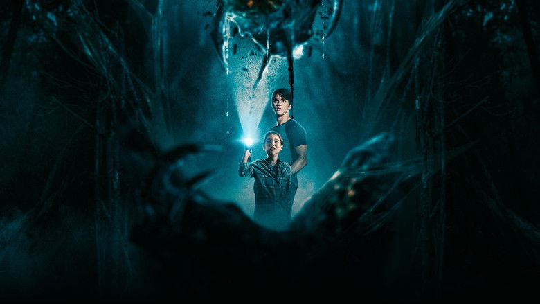 кадр из фильма The Beehive