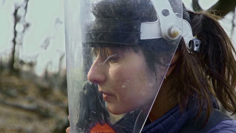 кадр из фильма Nothing to be Afraid of