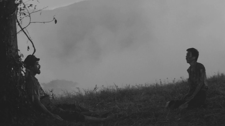 кадр из фильма Полевые огни