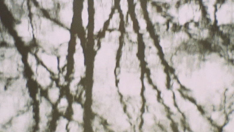 кадр из фильма 愛奴