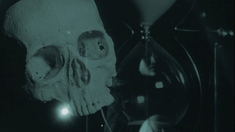 кадр из фильма Silent Trespasser