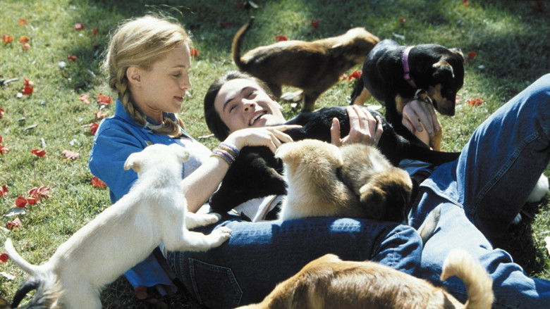 кадр из фильма Скажи, что это не так