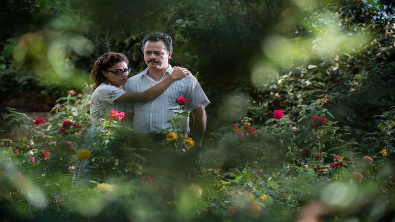 кадр из фильма Хирург ржавого ножа