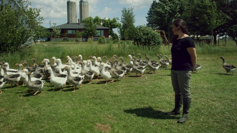 кадр из фильма La ferme et son état