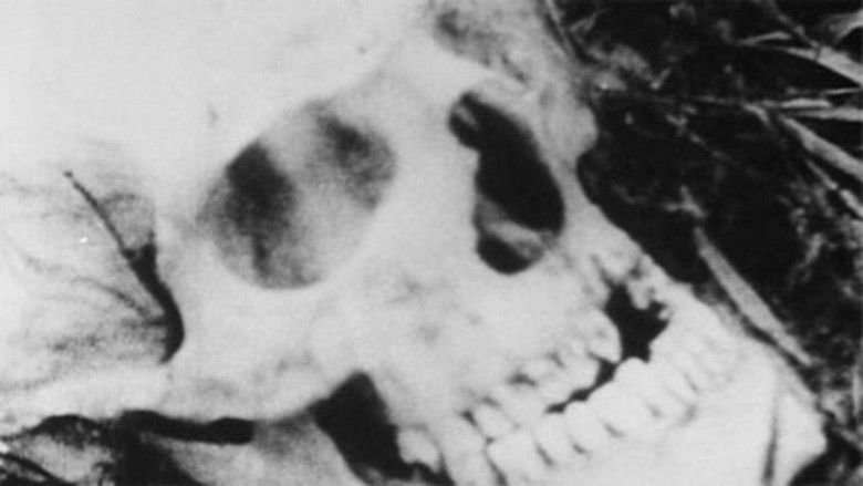 кадр из фильма The Hearts of Age