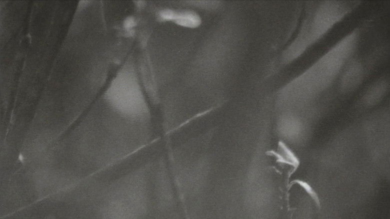 кадр из фильма Surface Memory Oblivion