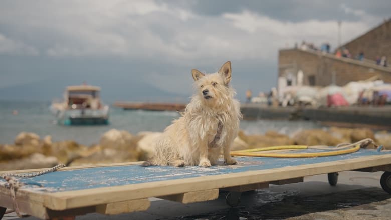 кадр из фильма Here where the sea shines