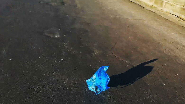 кадр из фильма Little Baggy