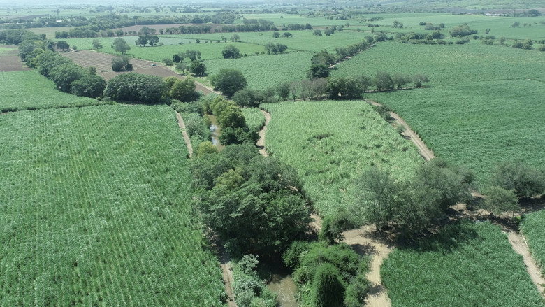 кадр из фильма Voces de la Tierra, Salud y Agroecología