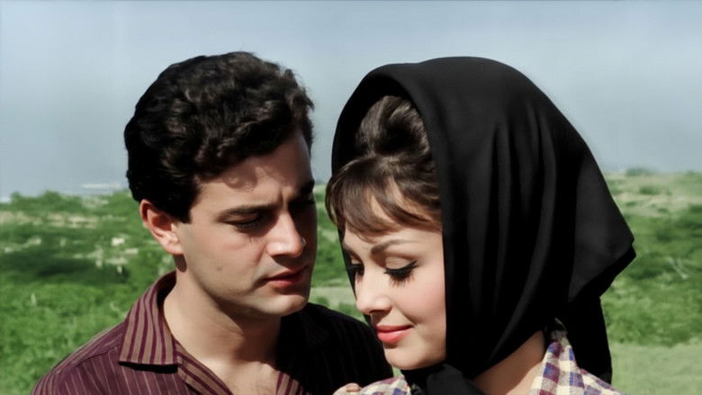 кадр из фильма Bütün Suçumuz Sevmek