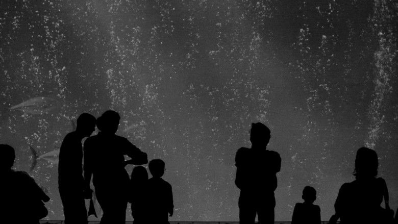 кадр из фильма Supersonic Airglow