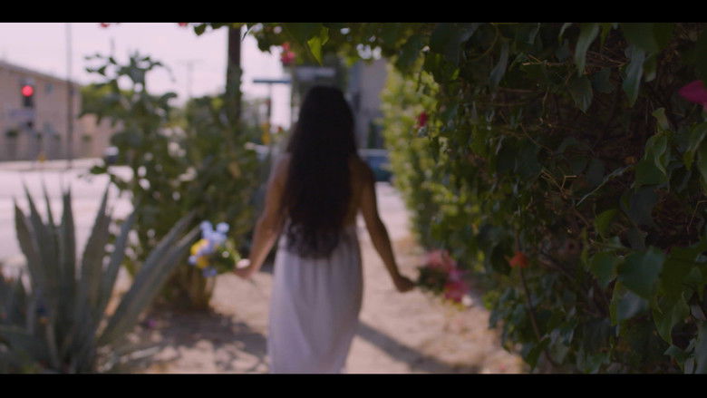 кадр из фильма Petals