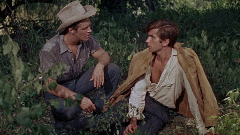 кадр из фильма Домой с холма