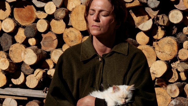 кадр из фильма Стена