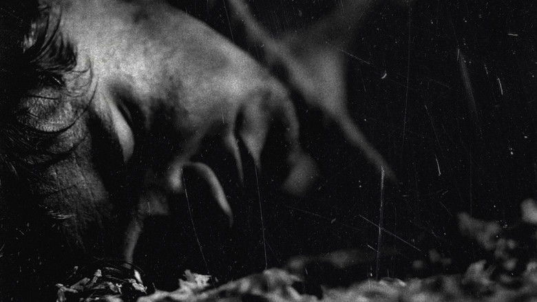 кадр из фильма LACHESIS