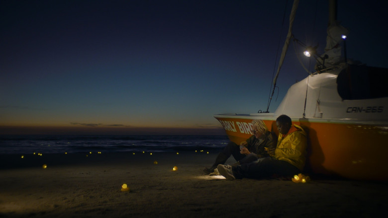 кадр из фильма De Vogelwachter