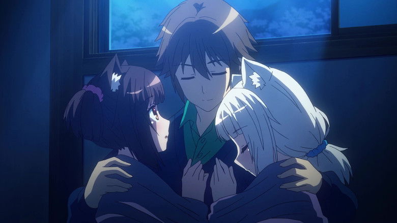 кадр из фильма ネコぱらOVA