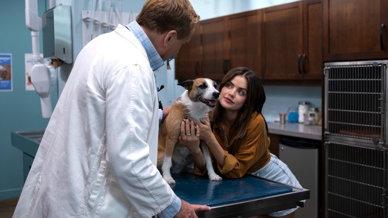 кадр из фильма Щенячья любовь