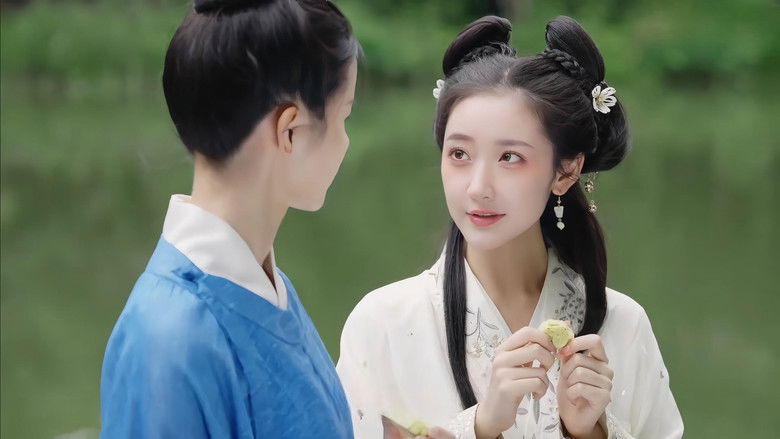 кадр из фильма 九世狸奴的寻找