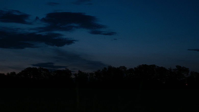 кадр из фильма Domenica x sempre